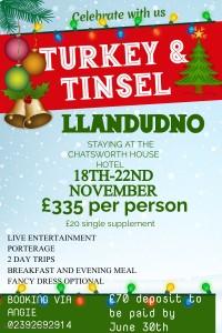 Christmas Holidays Fest Flyer Template - Made with PosterMyWall